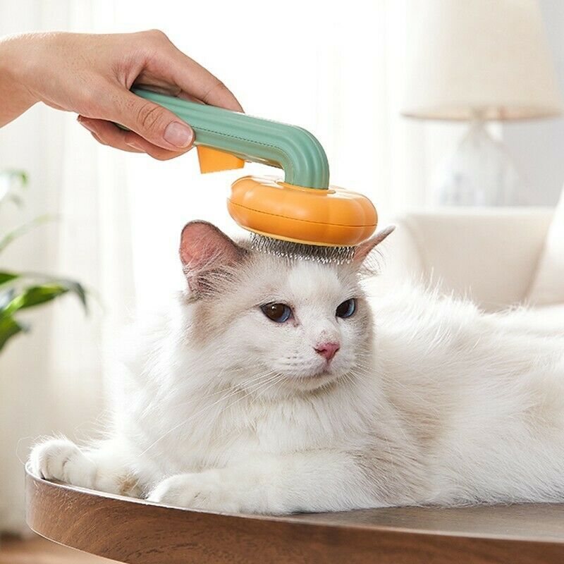 Pet Pumpkin Brush – Gentle Grooming Made Fun and Easy