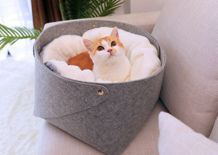 Cozy Cloud Pet Bed – Soft Comfort for Happy Pets