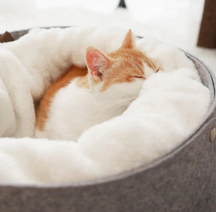 Cozy Cloud Pet Bed – Soft Comfort for Happy Pets